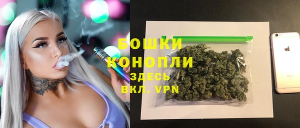 прущий лед Гусь-Хрустальный