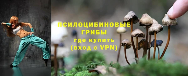 прущий лед Гусь-Хрустальный