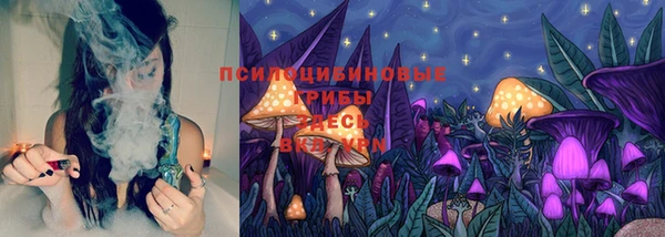 прущий лед Гусь-Хрустальный