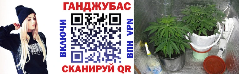 Бошки марихуана семена  Нефтекамск 
